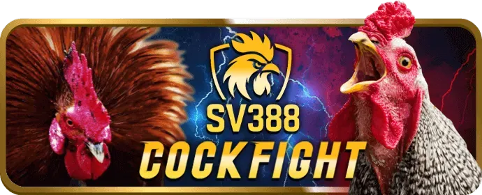 Thẻ thành viên VIP sv214q